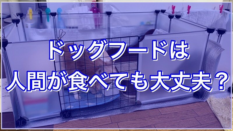 ドッグフードは人間が食べても大丈夫 私は食べるけど害や危険がある物もあり はなげんきの犬小屋