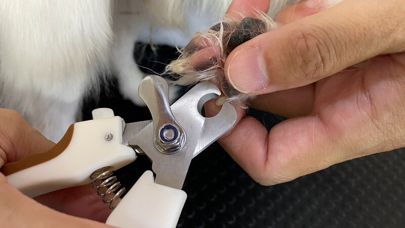 ダイソーの犬用爪切りの使い方｜防止クリップは横にずらす