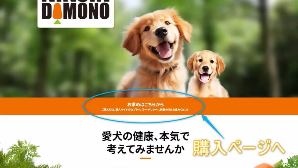 無添加人参ジュースの購入リンクが強調された画像｜購入ページへの案内
