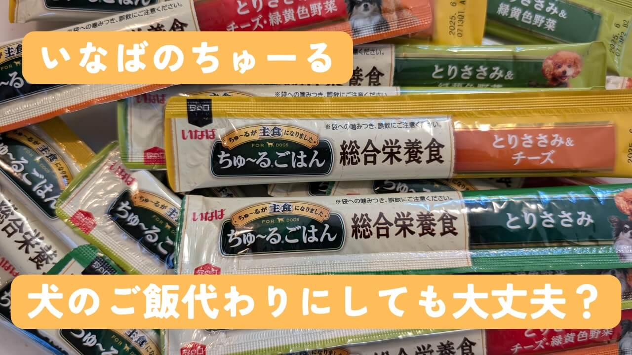 ちゅーるはご飯代わりにしても大丈夫？老犬に与える際のメリット・デメリットと注意点