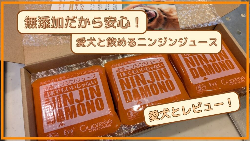 飼い主と一緒に楽しむ愛犬用ニンジンジュース｜レビューと飲み方のコツを徹底解説！