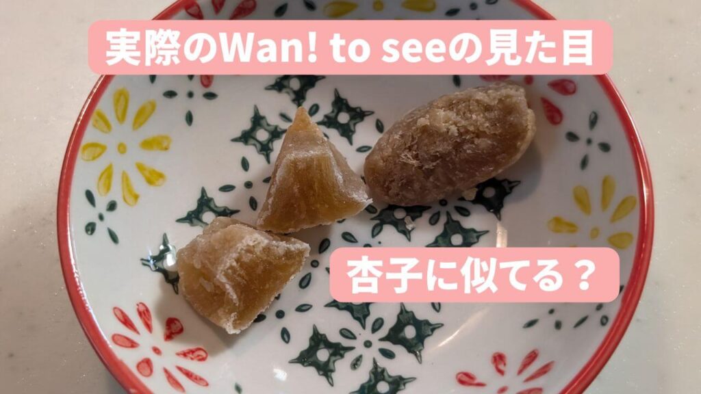 Wan! to seeのおやつをお皿に乗せた写真。スーパーフード「アムラ」を使用した無添加の犬用おやつ。