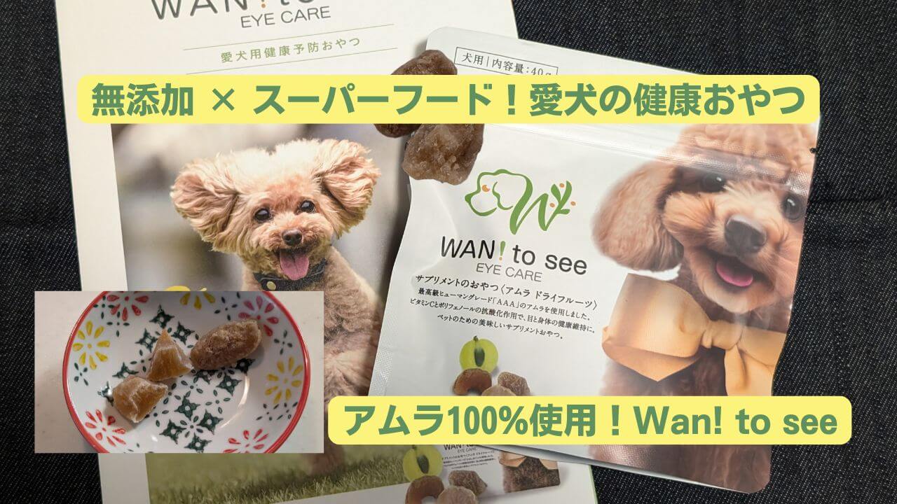 Wan! to seeの犬用おやつを食べる愛犬。スーパーフード「アムラ」を100%使用した無添加おやつ。