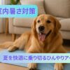室内でひんやりグッズと一緒にリラックスする犬のイメージ｜犬の暑さ対策グッズ紹介記事用サムネイル
