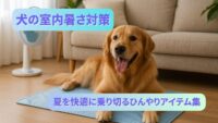 室内でひんやりグッズと一緒にリラックスする犬のイメージ｜犬の暑さ対策グッズ紹介記事用サムネイル