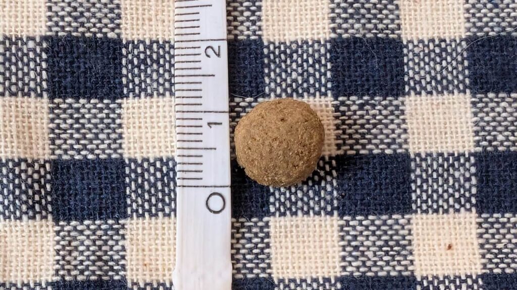 バーキングヘッズの粒の大きさを定規で測った写真。直径約1.2cmの中粒タイプで硬めの質感。