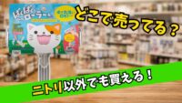 ニトリのぱくぱくローラーはどこで売ってる？楽天やAmazonでも買えることを紹介するイメージ